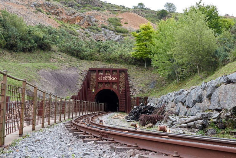 Visita guiada por la Cueva El Soplao