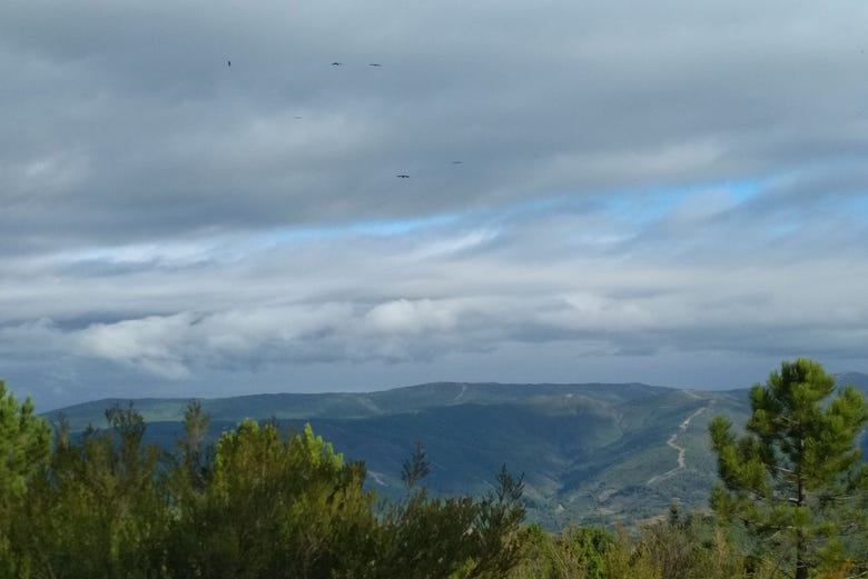 Avistamiento de aves en la Sierra de Gata