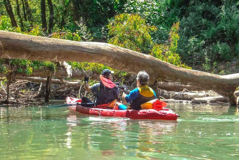 Tour en kayak por el río Guadiaro