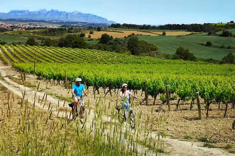 Tour en bicicleta por los viñedos del Penedés