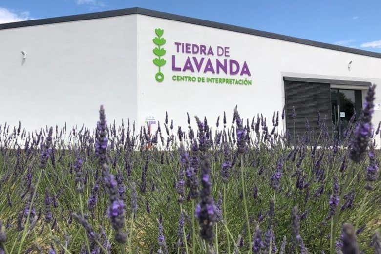 Tour de la lavanda por Tiedra 