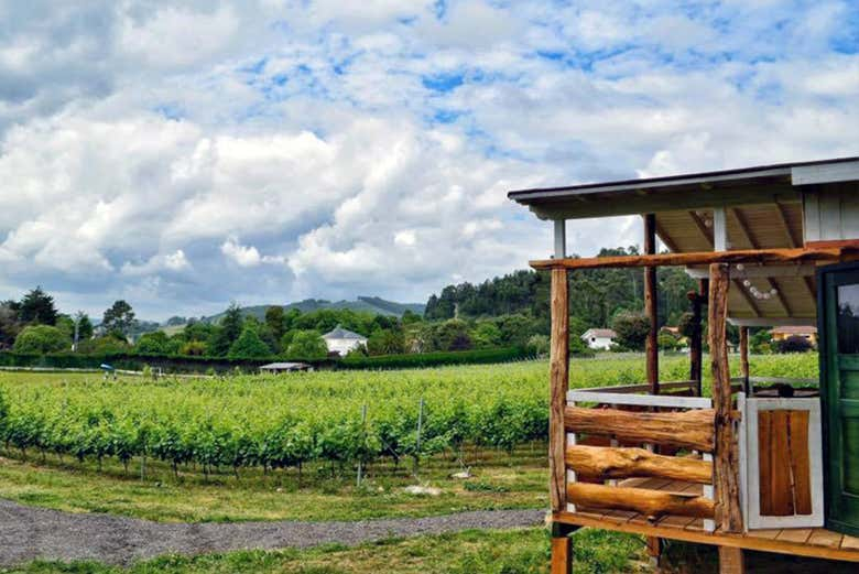 Tour gastronómico por los Valles Pasiegos