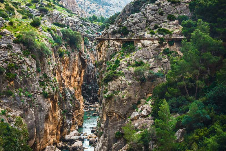 Excursión al Caminito del Rey