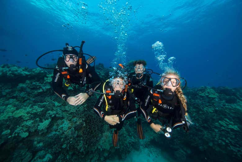 Curso de buceo PADI Open Water