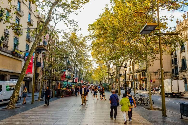 Excursión a Barcelona + Fuente Mágica de Montjüic