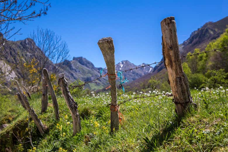 Senderismo por el Parque Natural de Somiedo