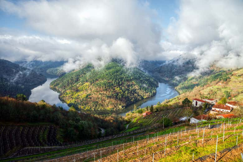 Excursión a la Ribeira Sacra