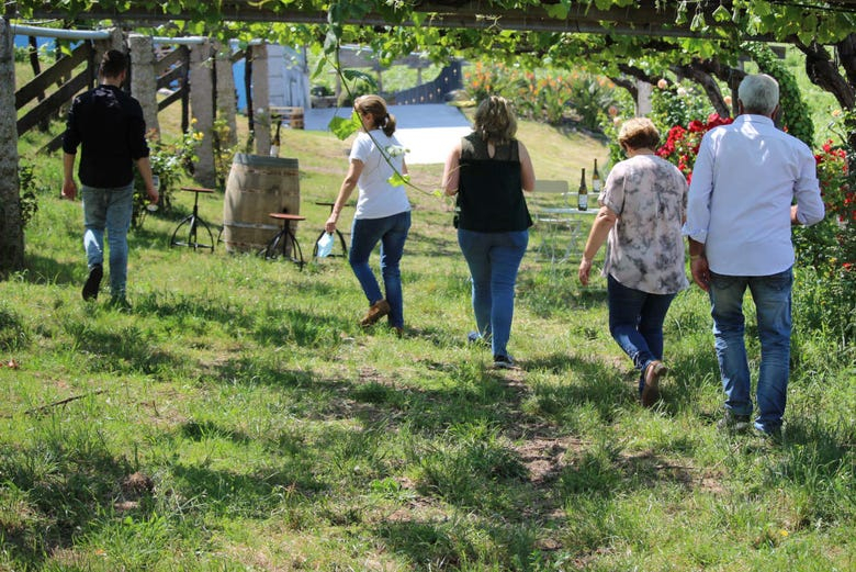 Visita a la bodega Granbazán