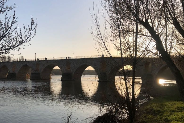 Tour por la Zamora medieval