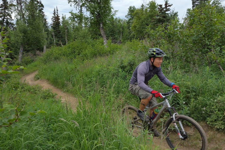 Tour en bicicleta por los bosques de Anchorage