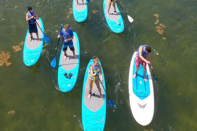 Tour en kayak o paddle surf por Tavernier