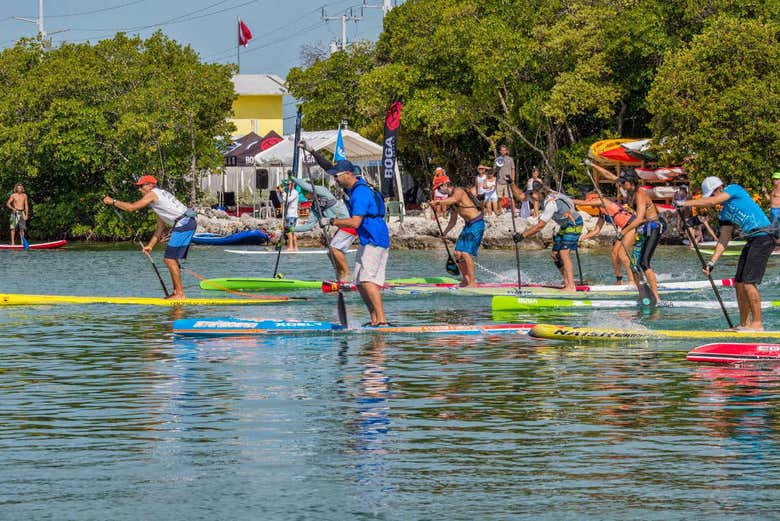 Alquiler de equipo de paddle surf en Tavernier