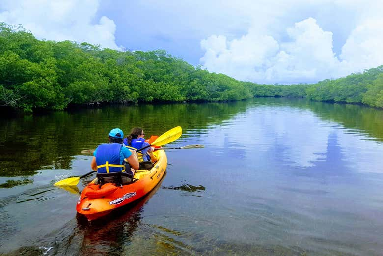 Alquiler de kayak en Tavernier