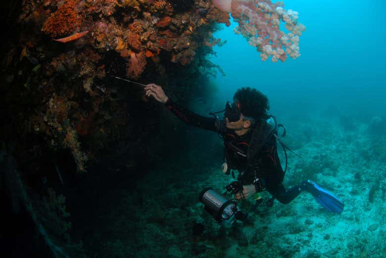 Buceo en Malapascua