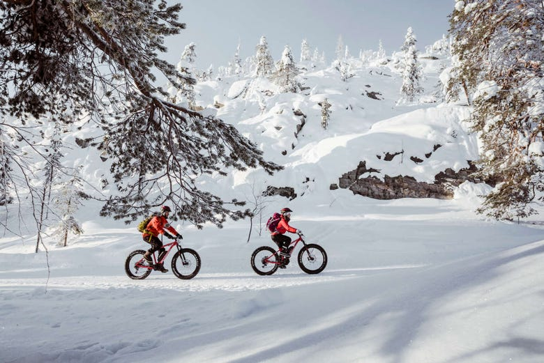 Tour en bicicleta eléctrica por el Parque Nacional Pyhä-Luosto