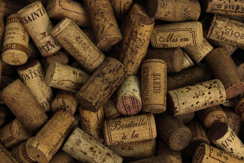 Entrada a las cuevas Duhard + Degustación de vinos