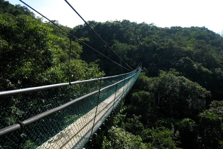 Senderismo por el Parque Natural Ixpanpajul