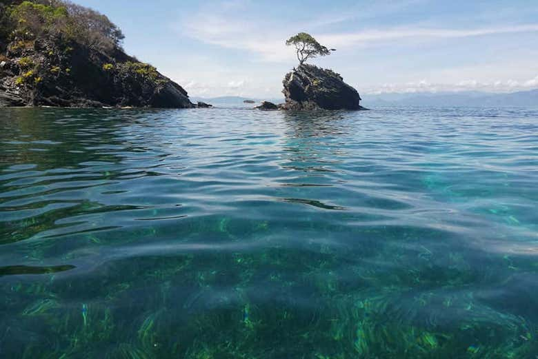 Excursión a Cayos Cochinos