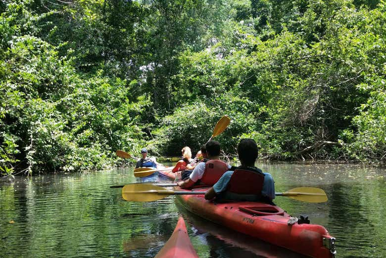 Tour en kayak por la laguna de Cacao