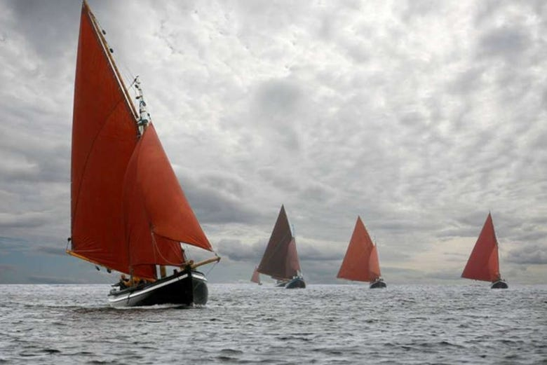 Paseo en velero tradicional por la costa oeste de Irlanda