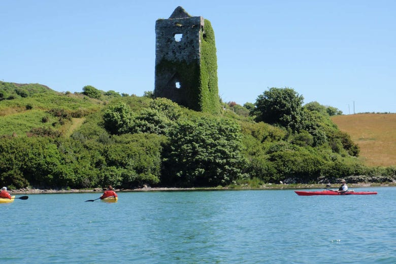 Tour en kayak por la bahía de Castlehaven