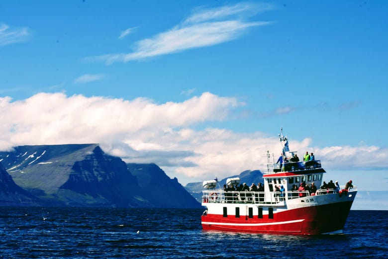 Paseo en barco por la bahía de Isafjordur