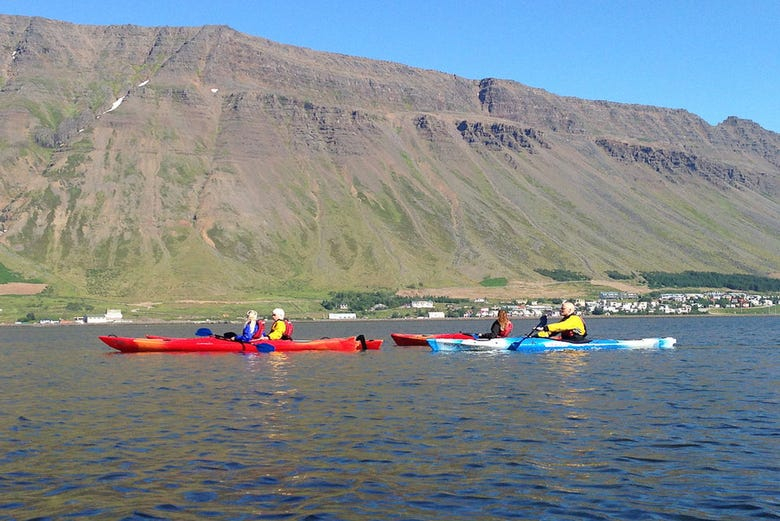 Tour en kayak por la bahía de Isafjordur