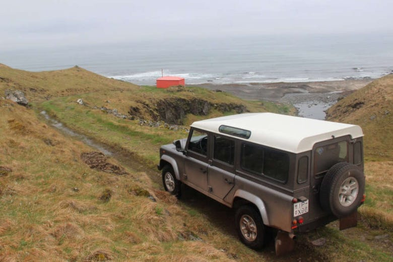 Tour en jeep por Dynjandi y Kaldbakur