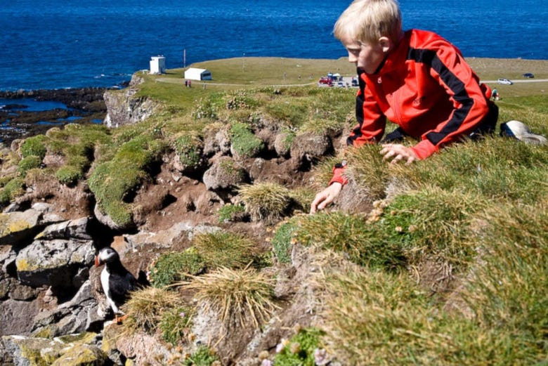 Excursión a Látrabjarg y Raudasandur