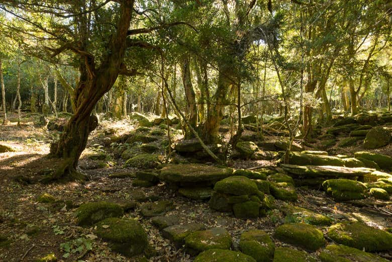 Senderismo por la cascada de Mularza Noa