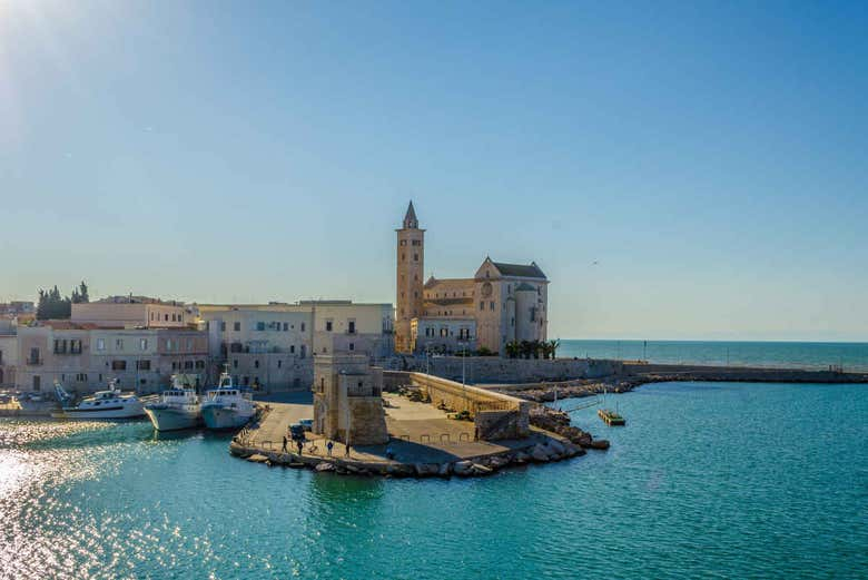 Tour privado por Trani con guía en español