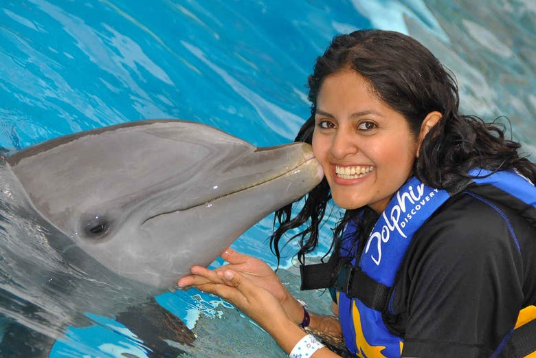 Nado con delfines en Bahía Montego