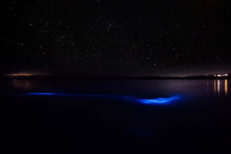 Excursión nocturna a la Laguna Luminosa