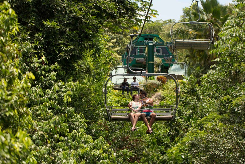 Excursión a Rainforest Adventures Mystic Mountain