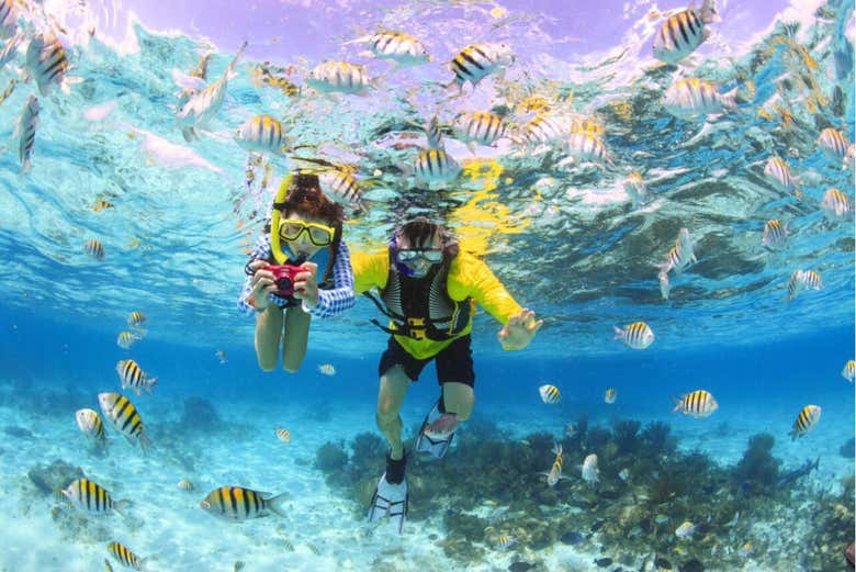 Snorkel en Maafushi + Avistamiento de delfines