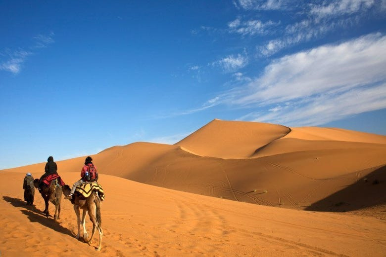 Paseo en camello y noche en el desierto