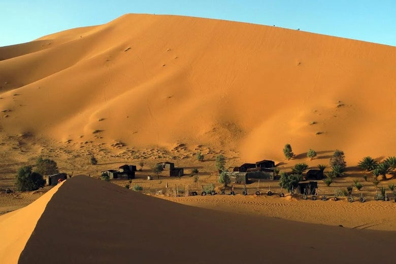 Paseo en camello y noche en el desierto