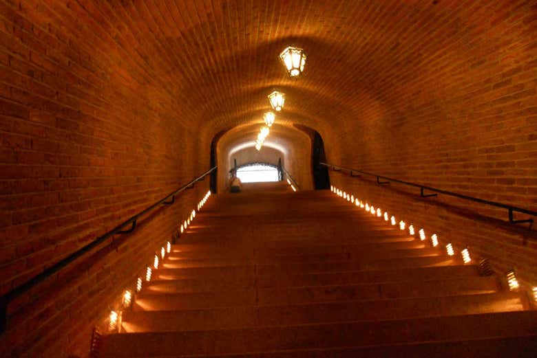 Tour por Bernal con degustación de vino