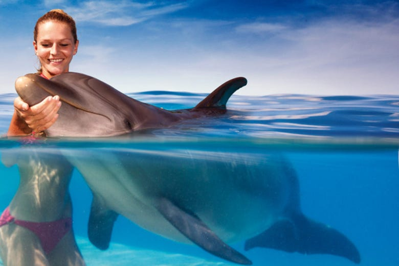 Nado con delfines en Riviera Maya