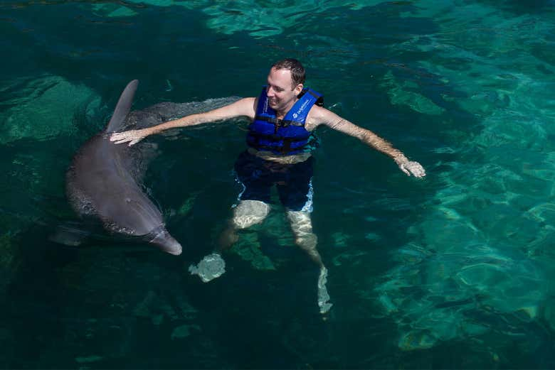 Nado con delfines + Gran Rueda de Cancún