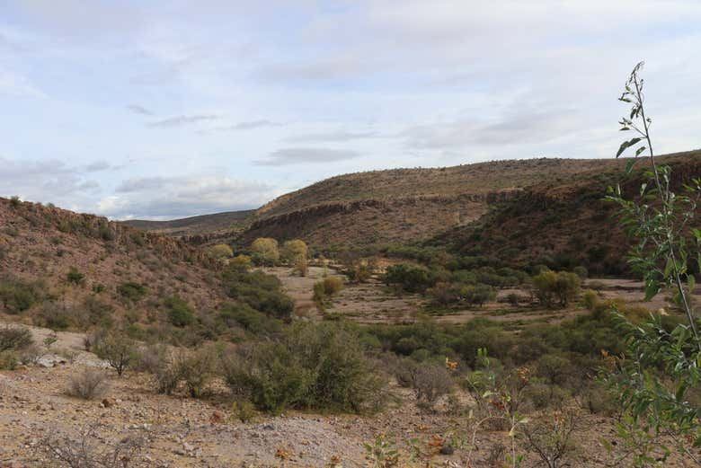 Excursión a San Juan del Río