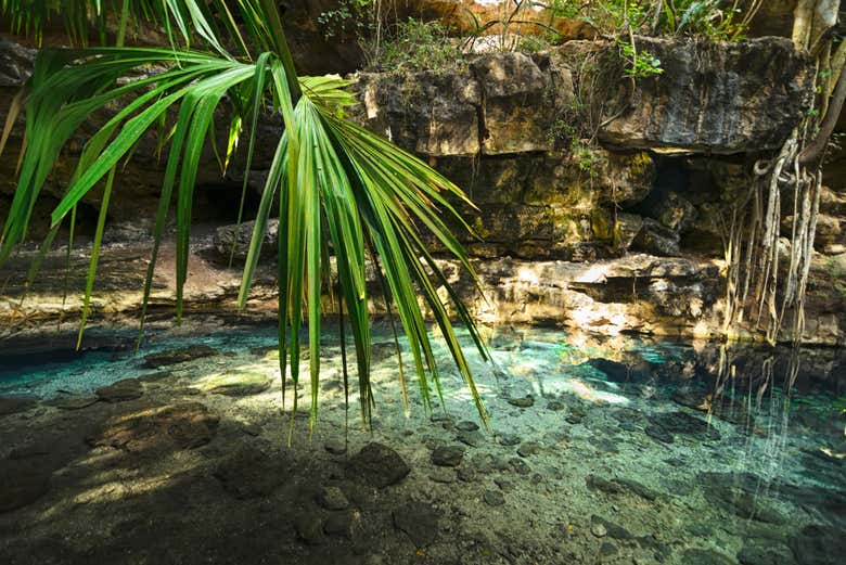 Excursión a los cenotes de Homún