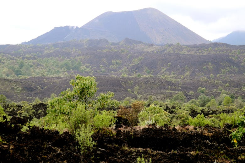 Excursión al volcán Paricutín y Angahuan 