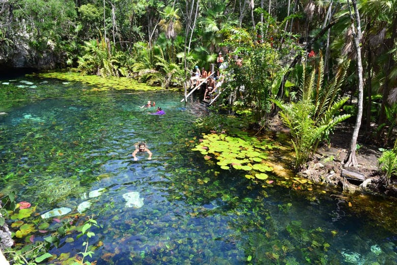 Excursión a Tulum + Snorkel en cenote maya