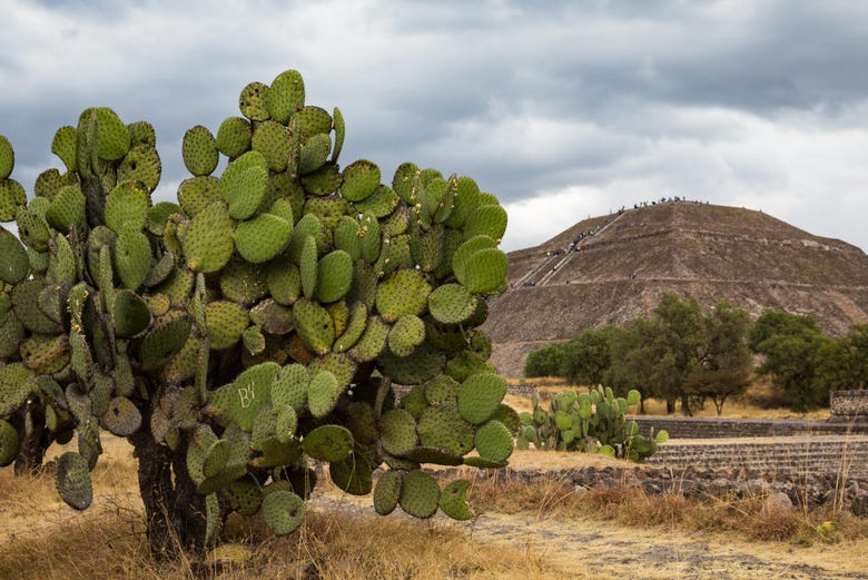 Tour de aventura por Teotihuacán