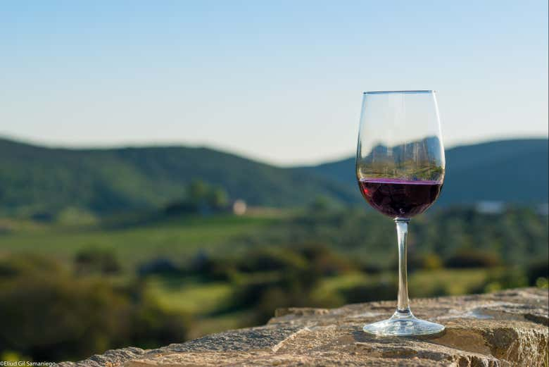 Tour del vino por el valle de Guadalupe