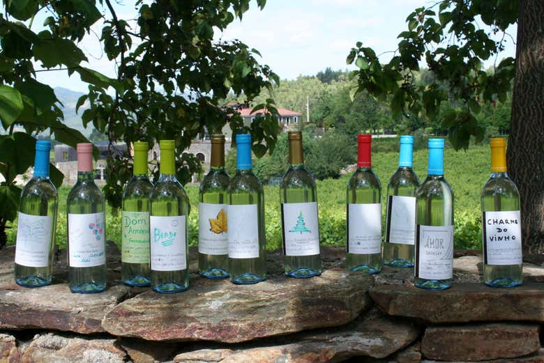 Cata de vinos en Monverde