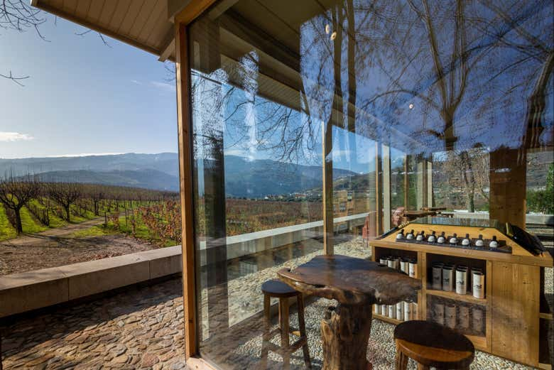 Visita a la bodega Quinta da Pacheca