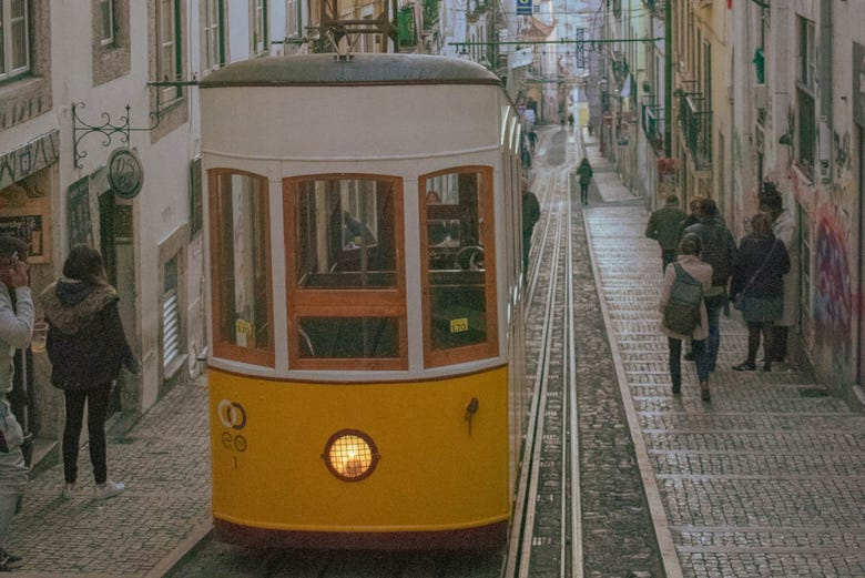 Visita guiada por Lisboa