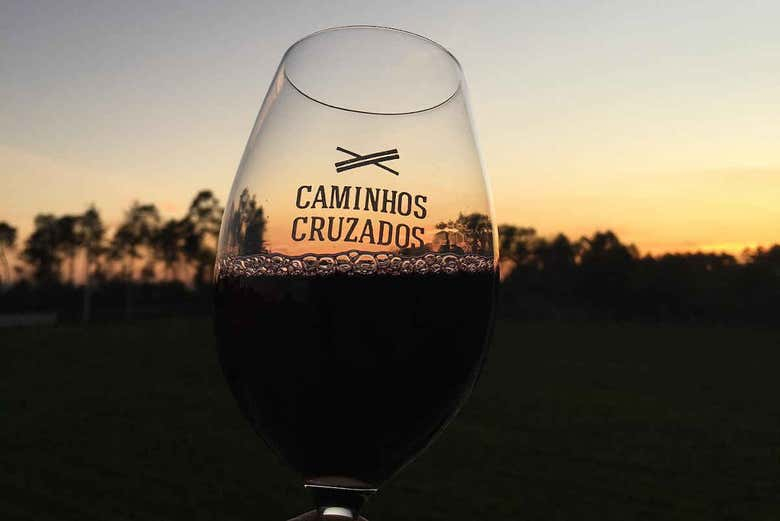 Visita a la bodega Caminhos Cruzados